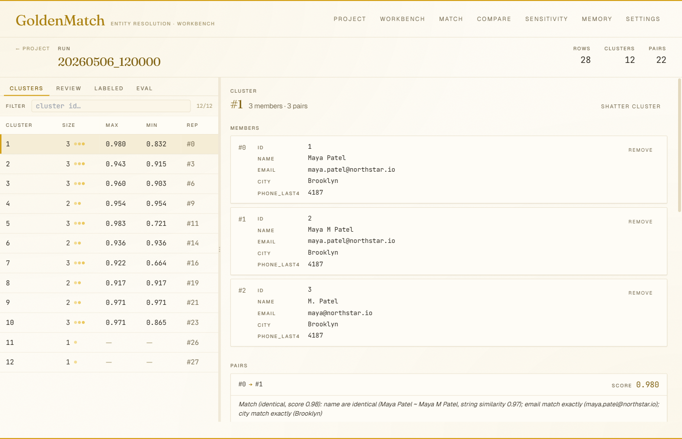 GoldenMatch web workbench — pair drilldown with NL prose