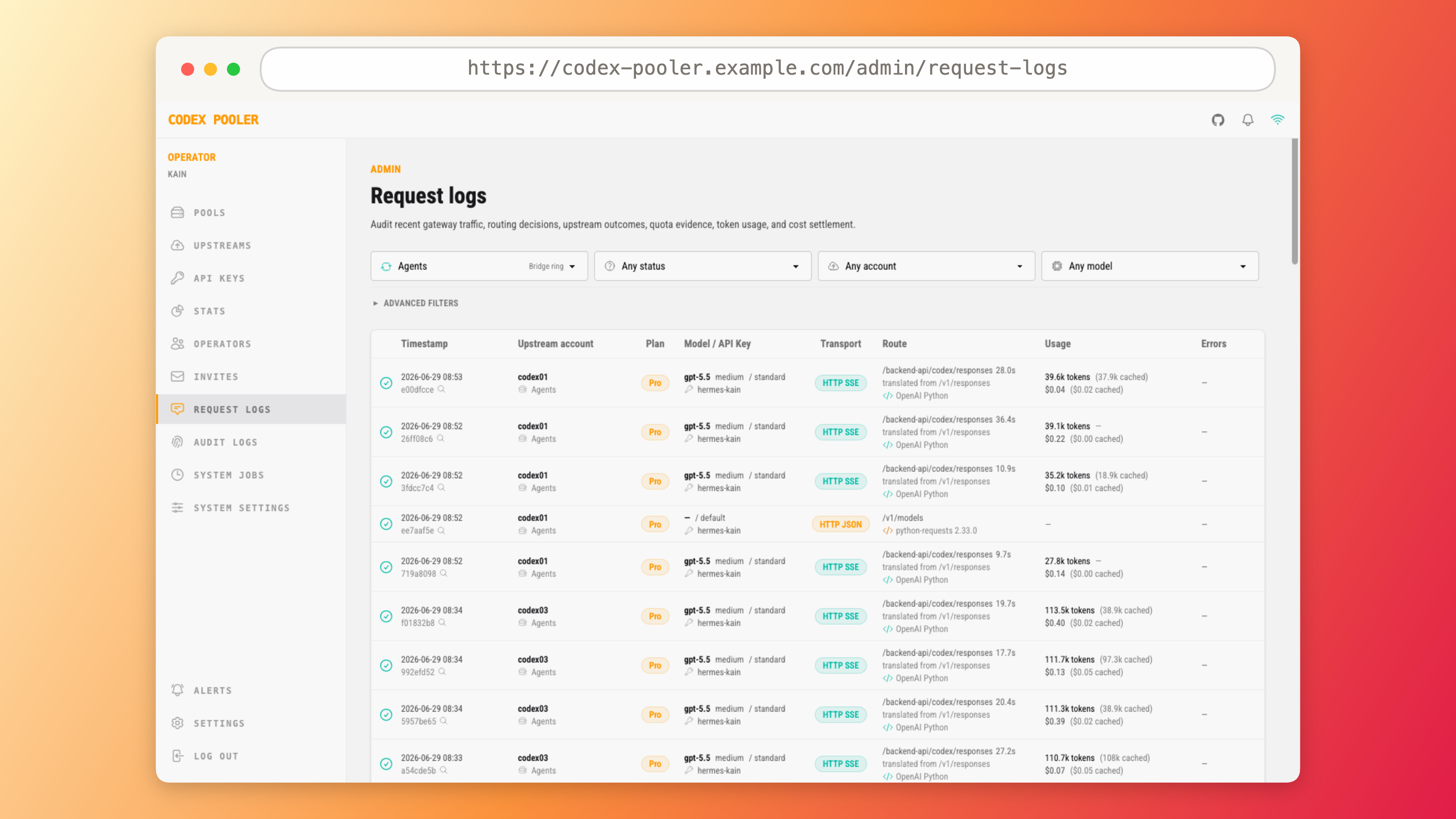 Codex Pooler request logs