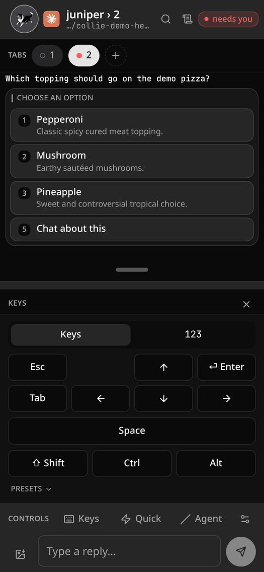 The special-keys pad — arrows, Esc, Tab, Ctrl, Alt, Shift
