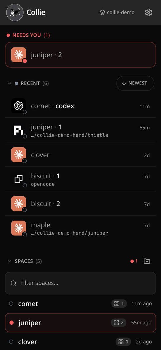 Collie dashboard — Needs you, Recent, Spaces