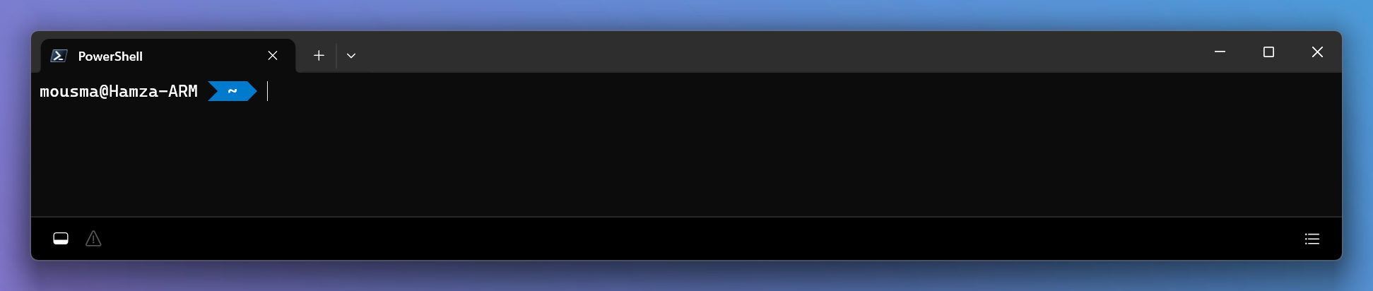 Screenshot of the agent status bar at the bottom of the terminal window