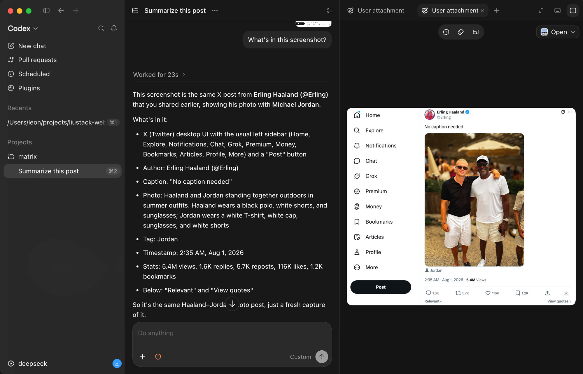 Text-only DeepSeek reading a tweet screenshot in full detail via ModLens