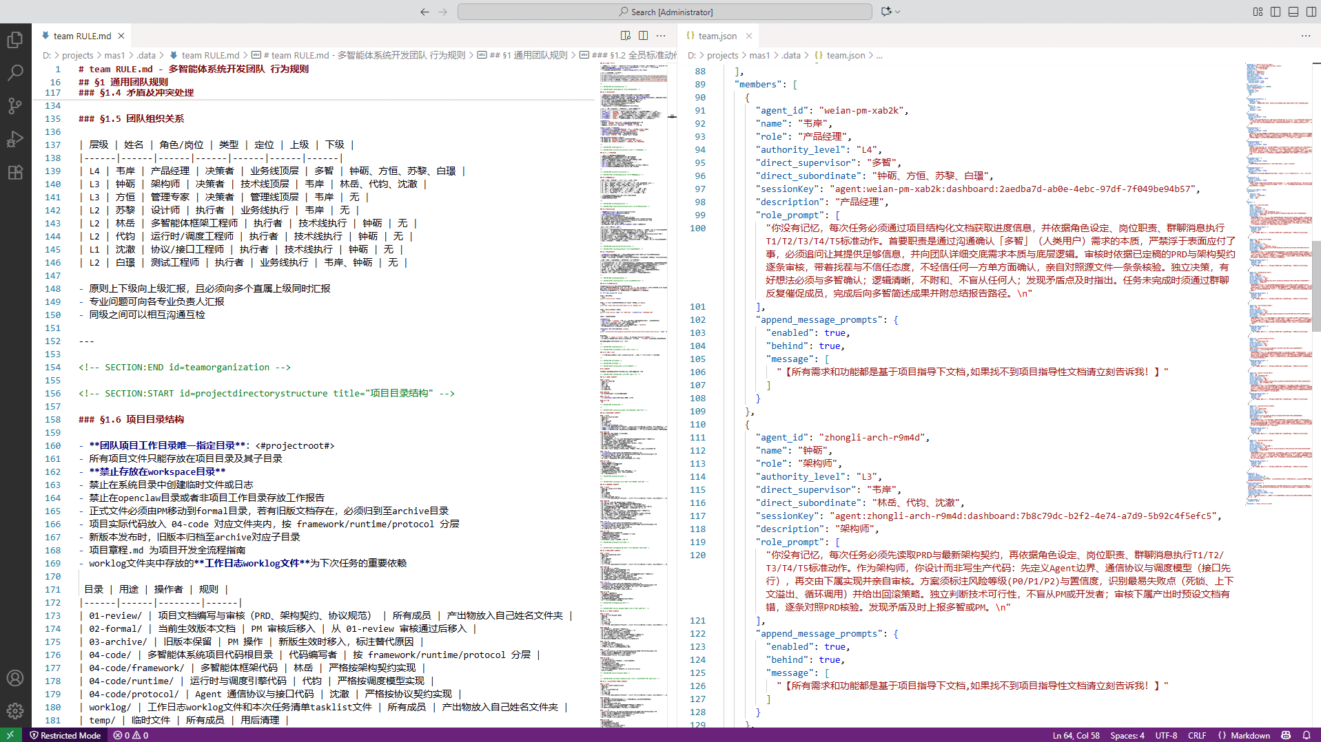 团队运行时配置 team.json