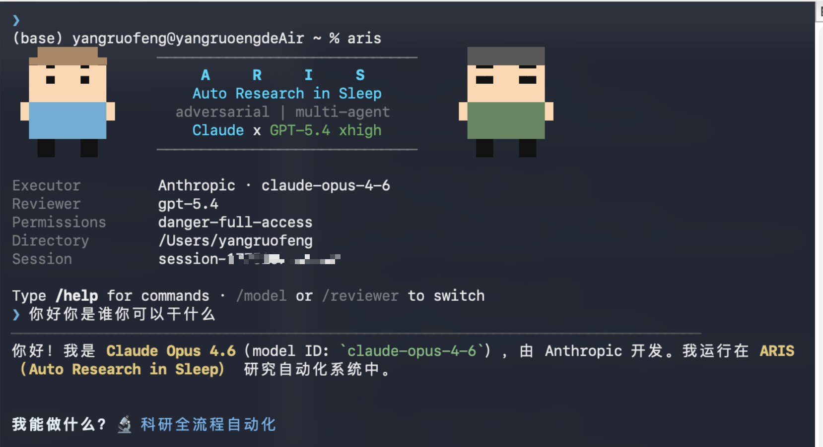ARIS-Code CLI terminal — Auto Research in Sleep