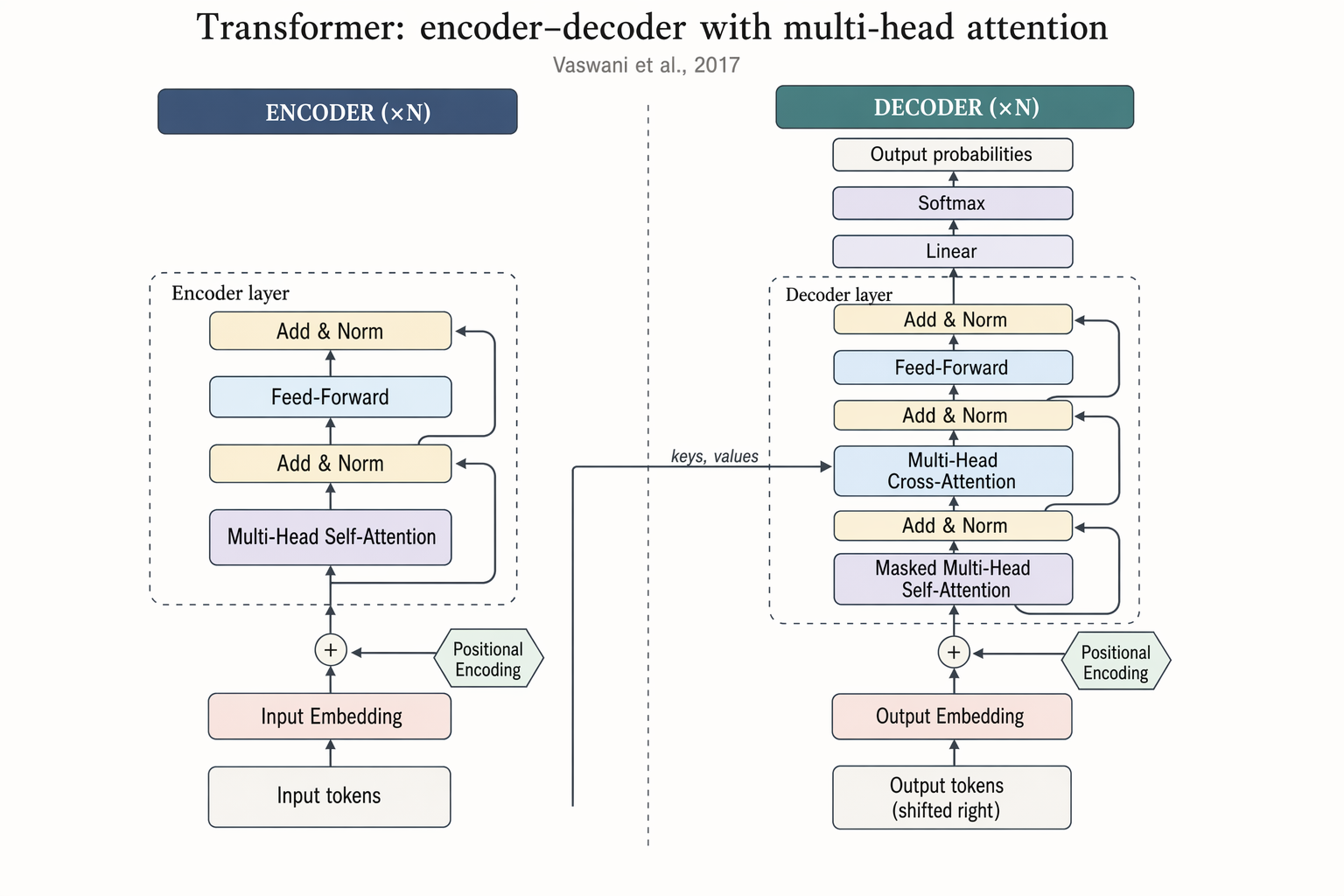 Transformer encoder–decoder architecture