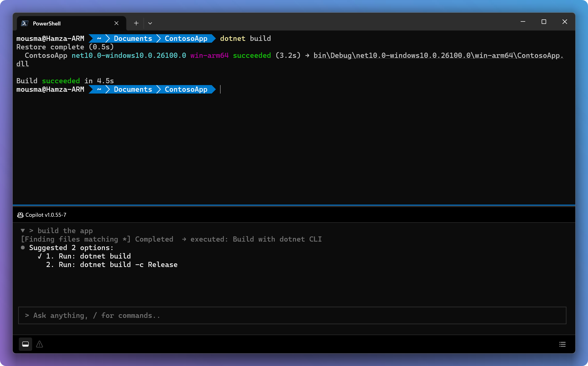 Screenshot of the agent pane with a development conversation