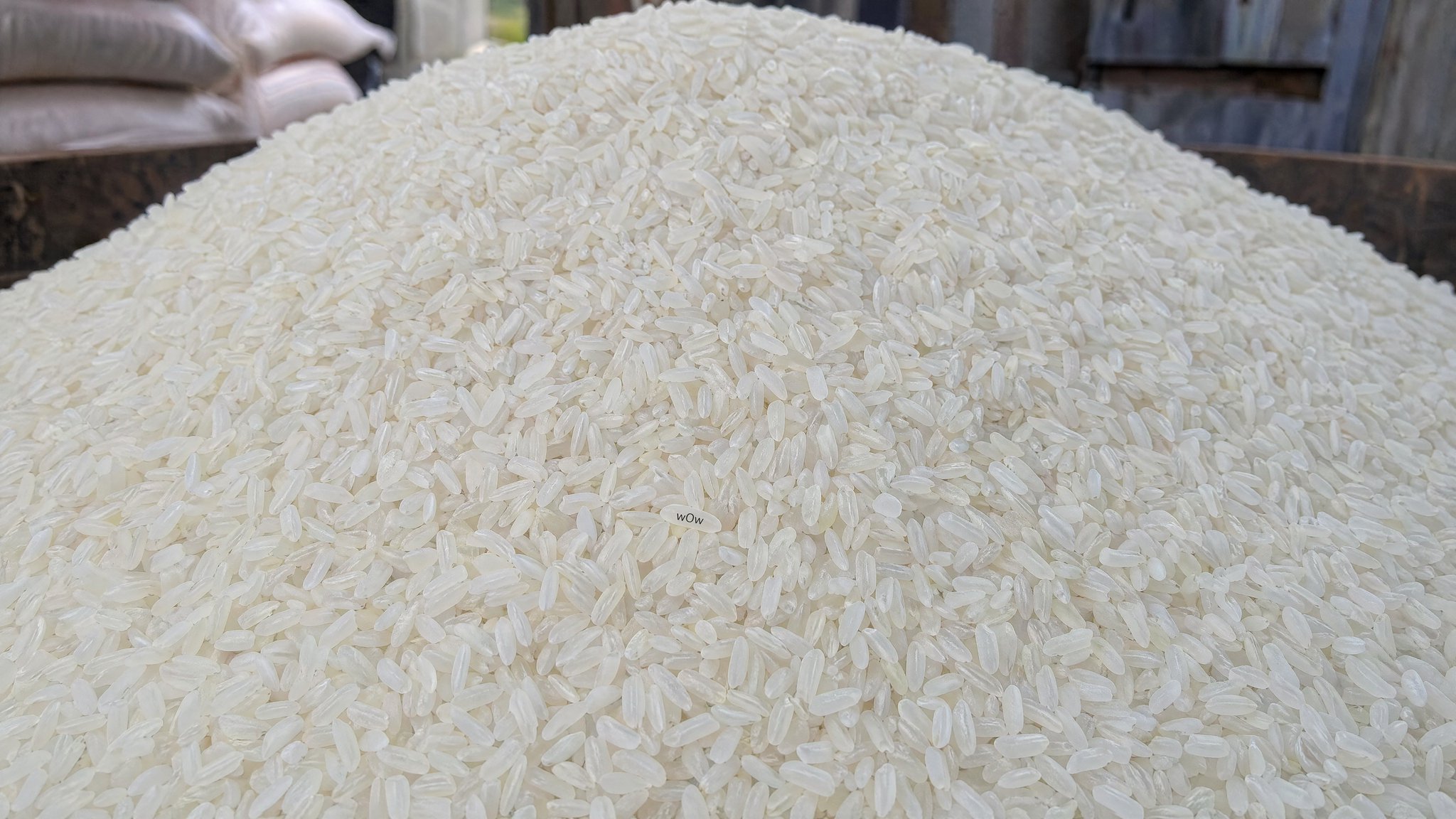 Rice Grain Micro Typography