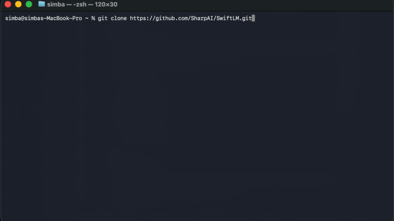 SwiftLM Mac macOS demo
